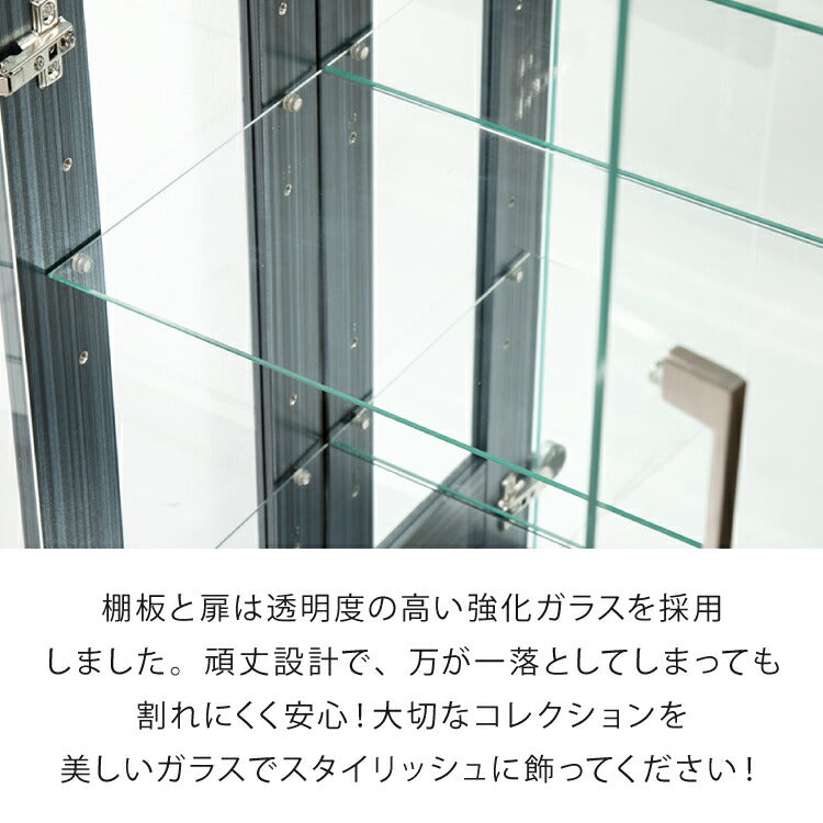 サラ60 ハイタイプ コレクションラック フィギュアケース コレクション